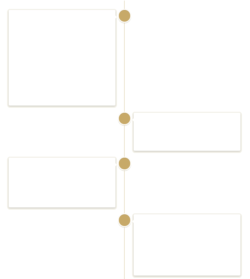 Timeline Vertical