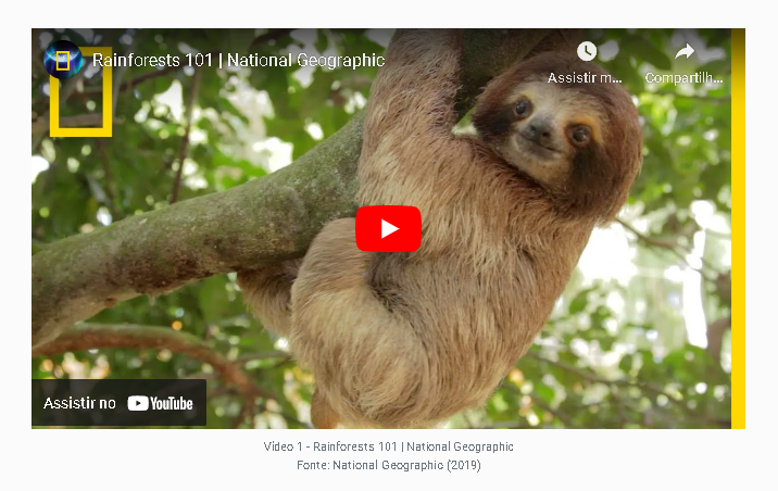 Video Embeded